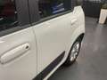 Fiat Panda 1.2 69cv Easy Blanc - thumbnail 9