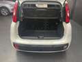 Fiat Panda 1.2 69cv Easy Blanc - thumbnail 13