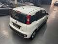 Fiat Panda 1.2 69cv Easy Blanc - thumbnail 44