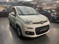 Fiat Panda 1.2 69cv Easy Blanc - thumbnail 21