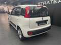 Fiat Panda 1.2 69cv Easy Blanc - thumbnail 31