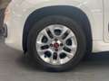 Fiat Panda 1.2 69cv Easy Blanc - thumbnail 36