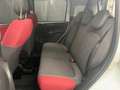 Fiat Panda 1.2 69cv Easy Blanc - thumbnail 17