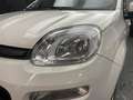 Fiat Panda 1.2 69cv Easy Blanc - thumbnail 5