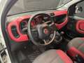 Fiat Panda 1.2 69cv Easy Blanc - thumbnail 12