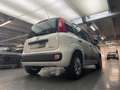 Fiat Panda 1.2 69cv Easy Blanc - thumbnail 45