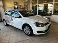 Volkswagen Golf VII Lim. Cup BMT DSG  Export / Gewerbe!! Blanc - thumbnail 4