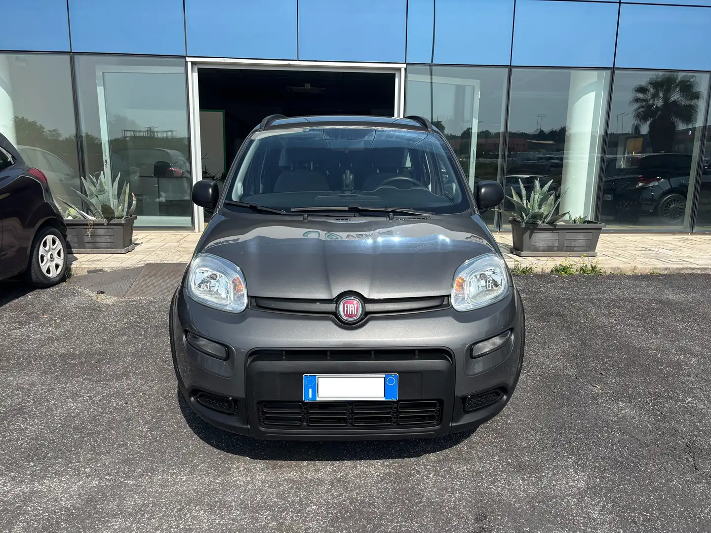 Fiat Panda Panda 1.0 firefly hybrid City Life s Grau - 2