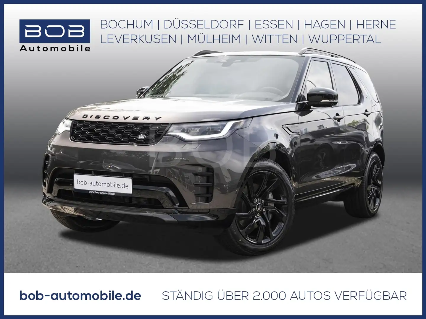 Land Rover Discovery D250 Dynamic SE Grau - 1