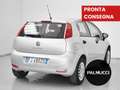 Fiat Punto 1.2 8V 5 porte Street - thumbnail 3