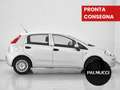 Fiat Punto 1.2 8V 5 porte Street - thumbnail 5