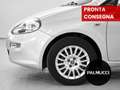 Fiat Punto 1.2 8V 5 porte Street - thumbnail 4