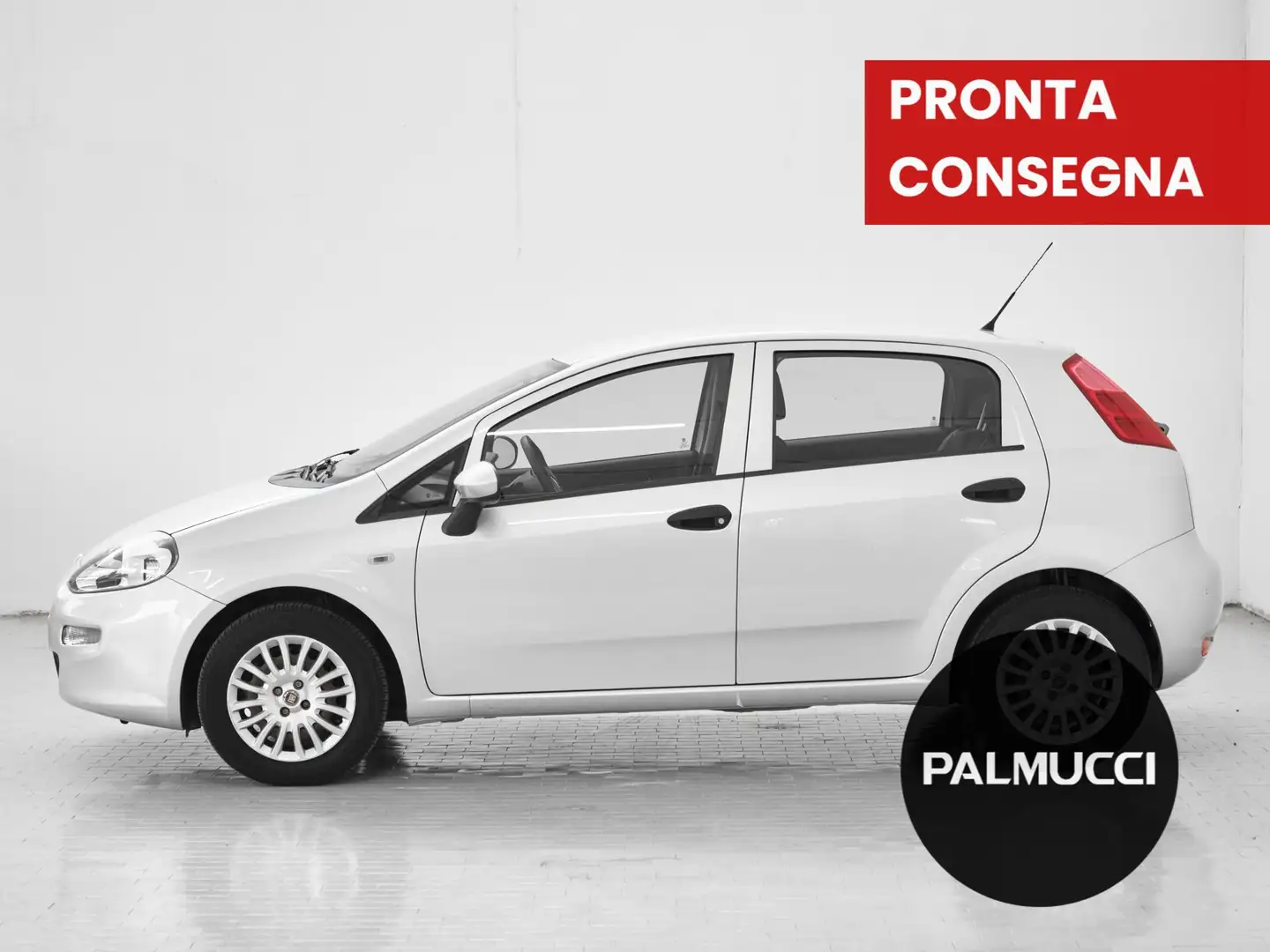 Fiat Punto 1.2 8V 5 porte Street - 2