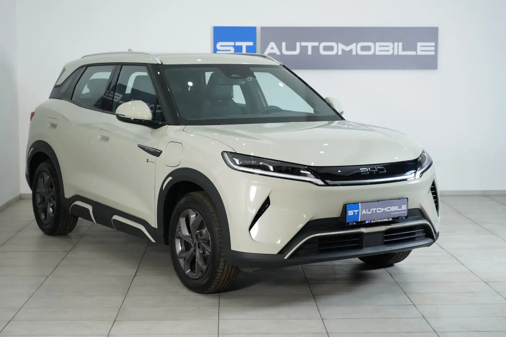 BYD Atto 2 Design // ACC // 360° KAMERA // PANO // NAVI // Grün - 2