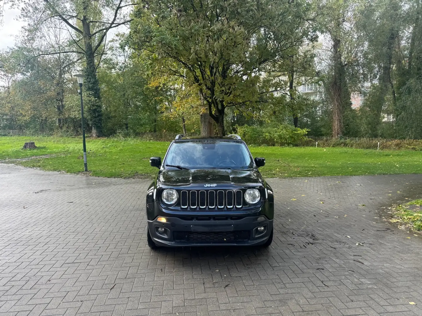 Jeep Renegade Renegade 2.0 MJD 4x4 Limited ATX Noir - 2