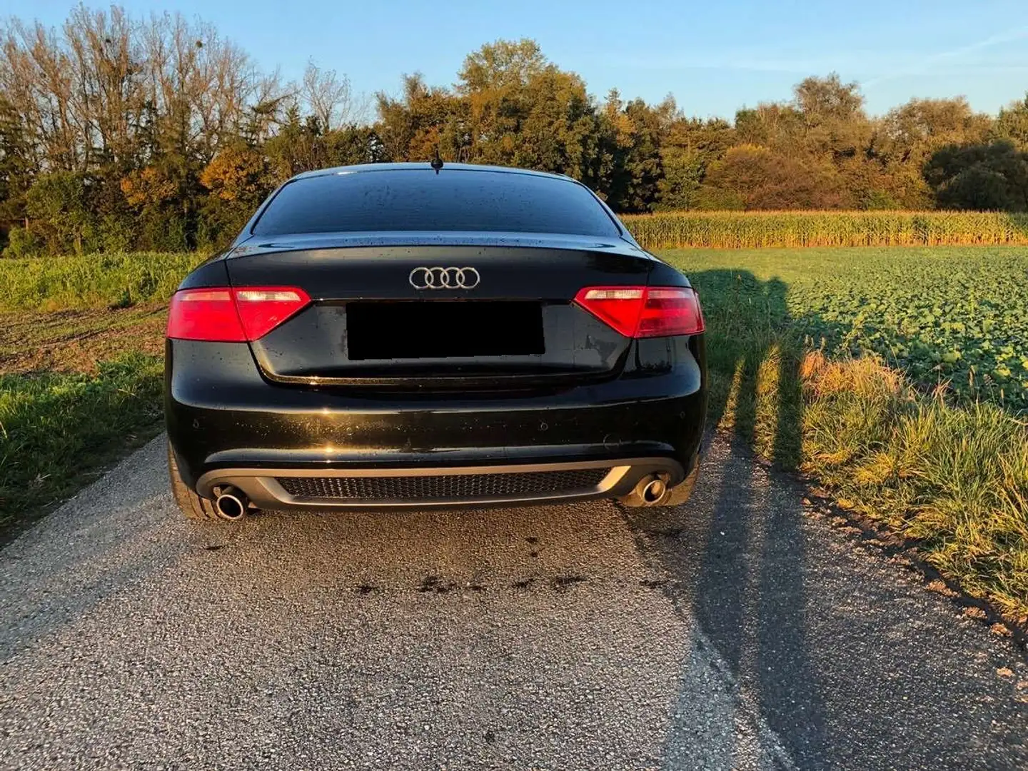 Audi A5 3.0 TDI DPF quattro Schwarz - 2