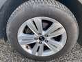 Kia Sportage Sportage IV 2016 1.7 crdi Cool Navi 2wd 115cv Bianco - thumbnail 12