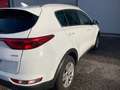 Kia Sportage Sportage IV 2016 1.7 crdi Cool Navi 2wd 115cv Bianco - thumbnail 5