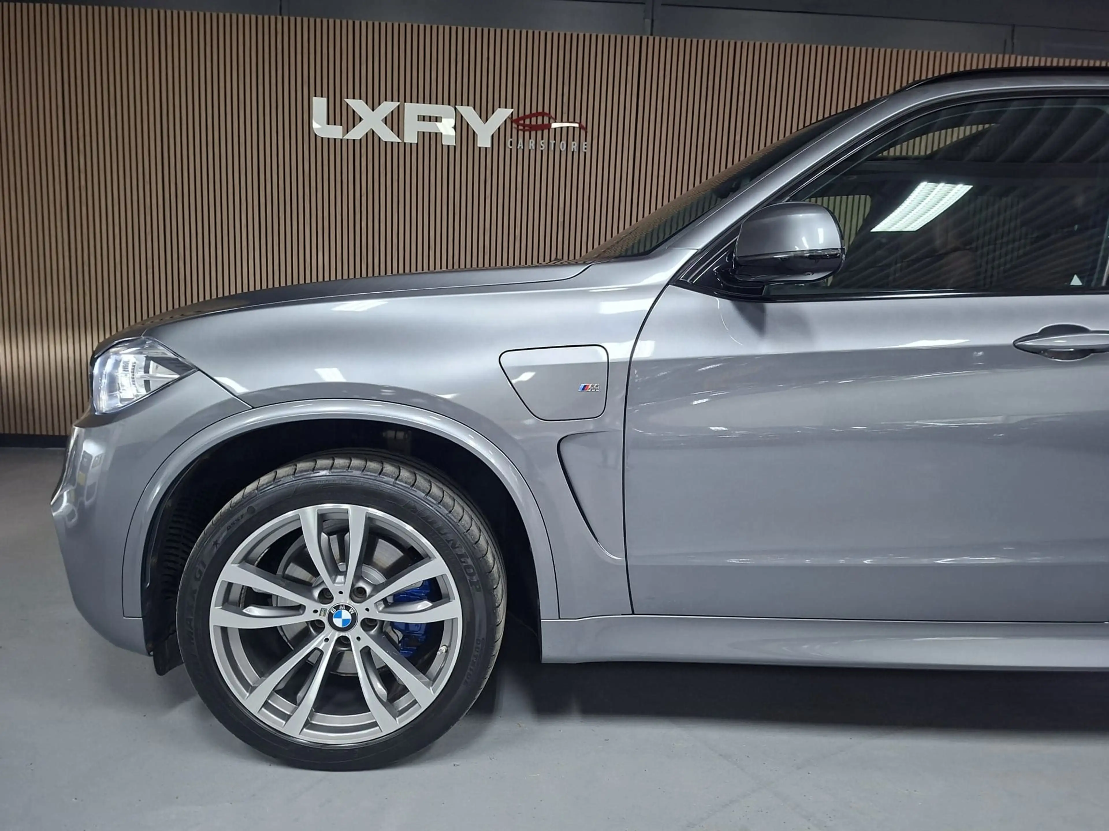BMW X5 XDrive40e High Executive | Clima | Navi | Pano | C — photo 9