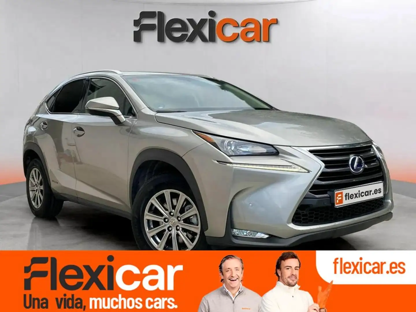 Lexus NX 300h 2.5 Business 2WD Желтый - 1