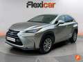 Lexus NX 300h 2.5 Business 2WD Szary - thumbnail 2
