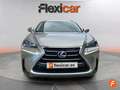 Lexus NX 300h 2.5 Business 2WD Grau - thumbnail 9