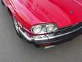 Jaguar XJS XJS Cabriolet  1989 Eyecatcher en Technisch goed d Rojo - thumbnail 19