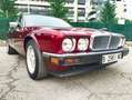 Jaguar XJ XJ6 4.0 Sovereign Mauve - thumbnail 12
