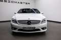 Mercedes-Benz CL 500 Btw auto, Fiscale waarde € 8.000,- (€ 24.752.07 Ex Blanco - thumbnail 5