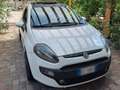 Fiat Punto Evo 3p 1.3 mjt Sport 90cv Bianco - thumbnail 1