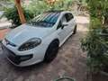 Fiat Punto Evo 3p 1.3 mjt Sport 90cv Bianco - thumbnail 3