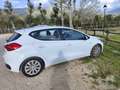 Kia Ceed / cee'd Ceed 1.4 crdi Active Bianco - thumbnail 2