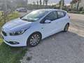 Kia Ceed / cee'd Ceed 1.4 crdi Active Bianco - thumbnail 1