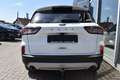 Ford Kuga Titanium Weiß - thumbnail 5