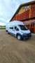 Fiat Ducato Maxi 35 L4H3 180 Netto € 33,330 Grau - thumbnail 4