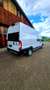 Fiat Ducato Maxi 35 L4H3 180 Netto € 33,330 Grau - thumbnail 5