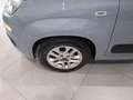 Fiat Panda Panda III 2016 1.2 Lounge s&s Grigio - thumbnail 15