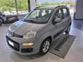 Fiat Panda Panda III 2016 1.2 Lounge s&s Grigio - thumbnail 1