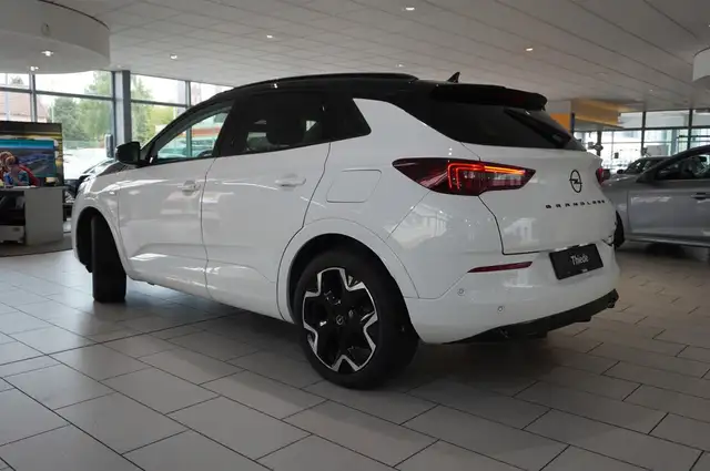 Opel Grandland X view 10