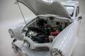 Studebaker Champion Bullet Nose '51 CH58906 Blanc - thumbnail 27