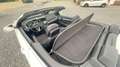 Mercedes-Benz E 250 E 250 Cabrio 7G-TRONIC Wit - thumbnail 17