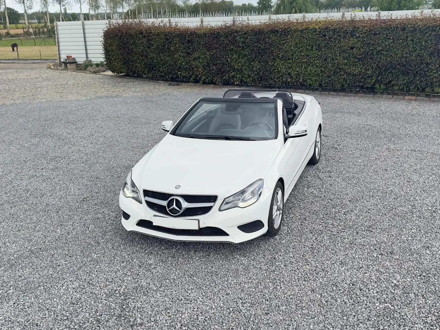 Mercedes-Benz E 250 E 250 Cabrio 7G-TRONIC Wit - 1
