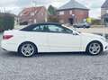 Mercedes-Benz E 250 E 250 Cabrio 7G-TRONIC Wit - thumbnail 11