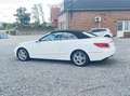 Mercedes-Benz E 250 E 250 Cabrio 7G-TRONIC Wit - thumbnail 14