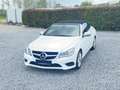 Mercedes-Benz E 250 E 250 Cabrio 7G-TRONIC Wit - thumbnail 6