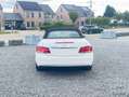 Mercedes-Benz E 250 E 250 Cabrio 7G-TRONIC Wit - thumbnail 13