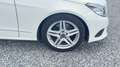 Mercedes-Benz E 250 E 250 Cabrio 7G-TRONIC Wit - thumbnail 19