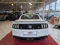 Ford Mustang GT Fastback+B&O+PREMIUM PAKET+ACC+LED+ Weiß - thumbnail 5