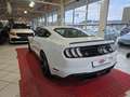 Ford Mustang GT Fastback+B&O+PREMIUM PAKET+ACC+LED+ Weiß - thumbnail 6
