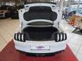 Ford Mustang GT Fastback+B&O+PREMIUM PAKET+ACC+LED+ Weiß - thumbnail 21